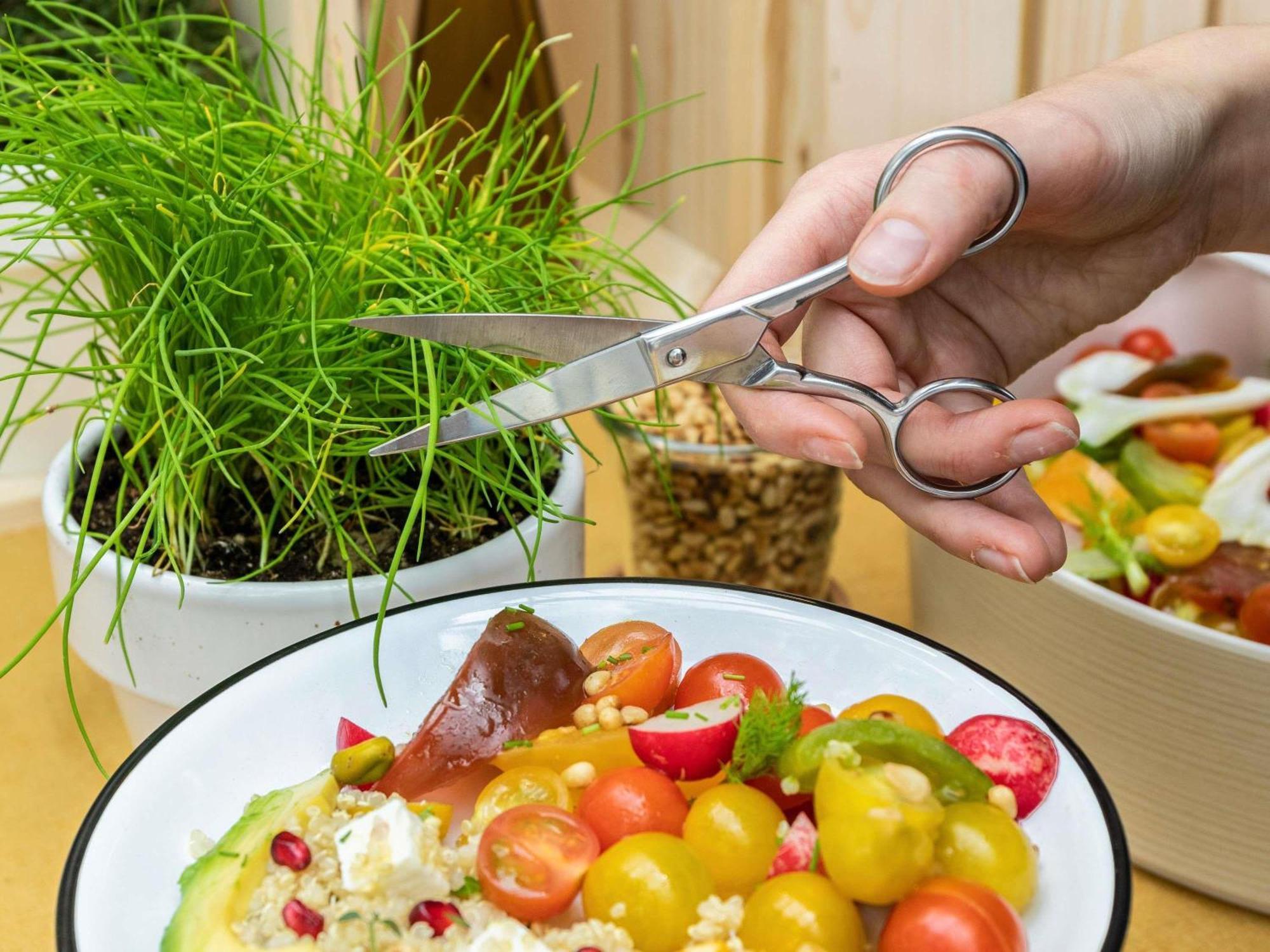 Ibis Airport Hotel 3*