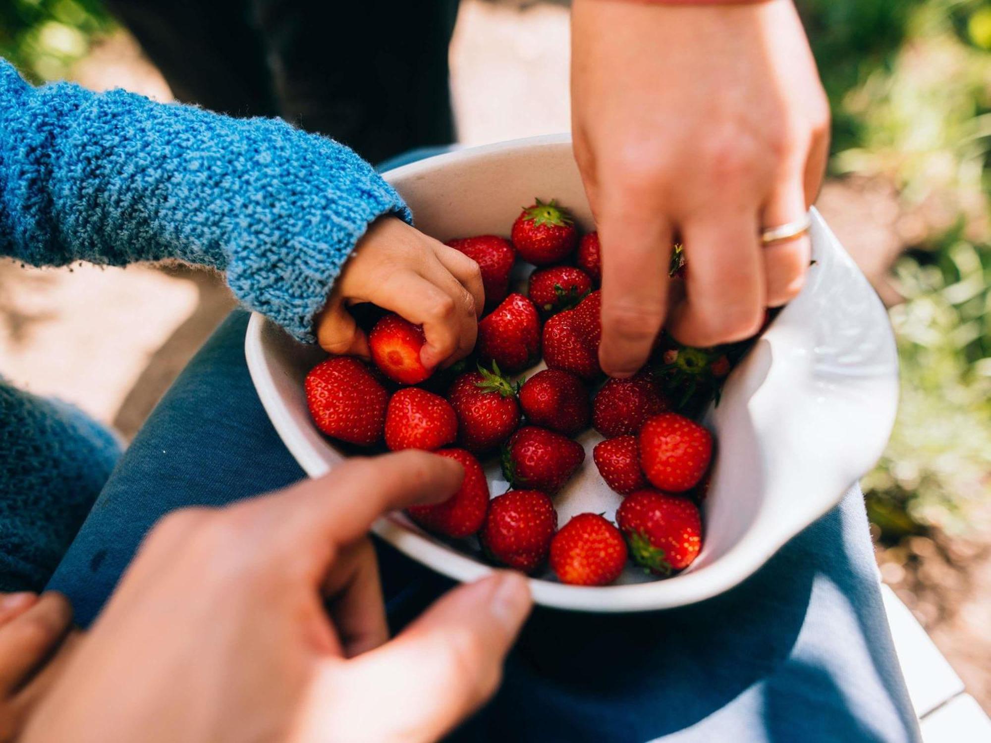 Hotel Ibis Airport Dusseldorf